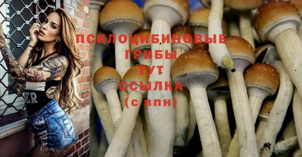 кокаин премиум Армянск