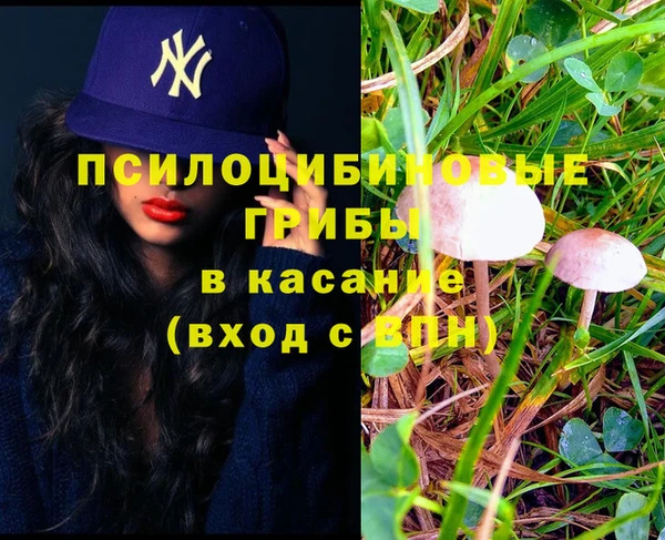 spice Пестово